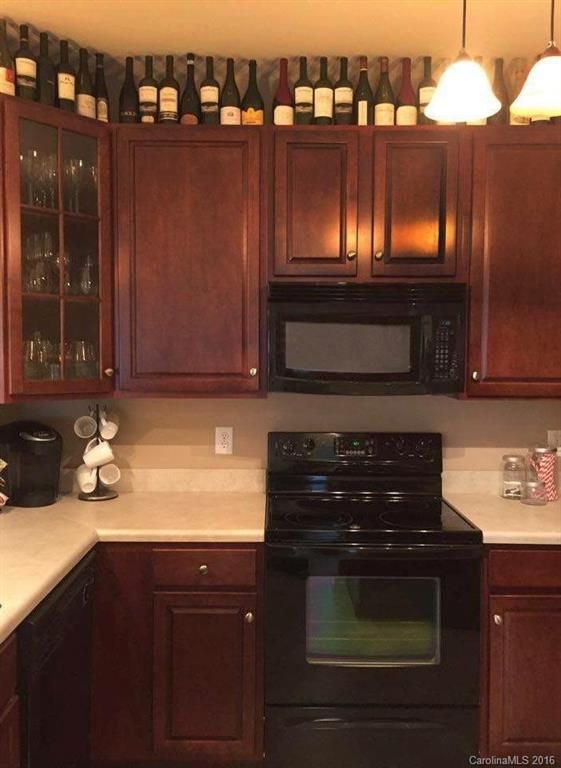 17207 Doe Valley Ct #17207, Cornelius, NC 28031