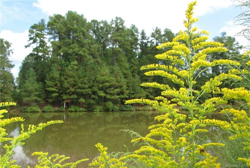 1140 Rosecliff Dr #31, Marvin, NC 28173