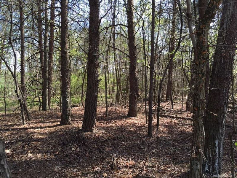 0 Bacon Rd, Statesville, NC 28625