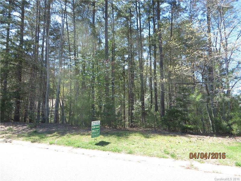 2517 Camelia Pointe Dr, Sherrills Ford, NC 28673