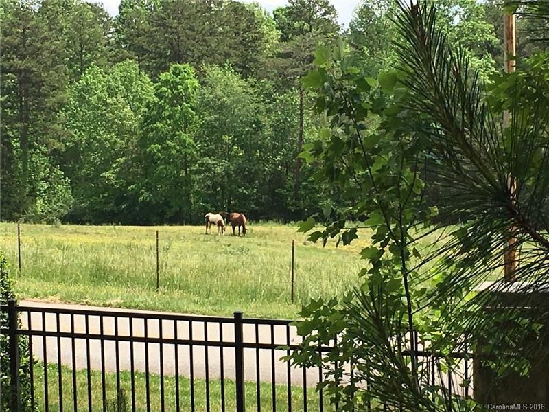 Lot 2 Ridgeview Ln, Iron Station, NC 28080