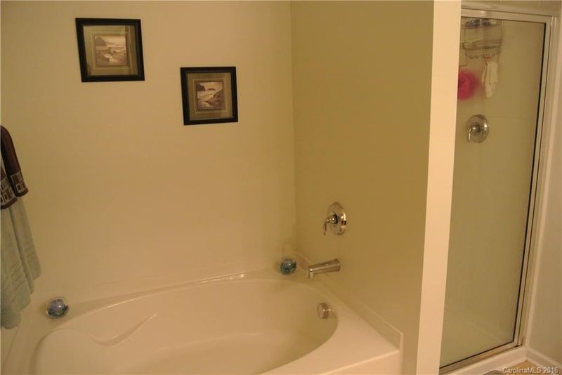 4603 Manchineel Ln #546, Monroe, NC 28110