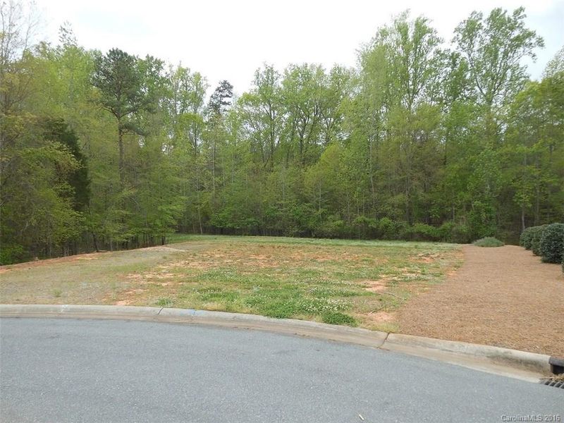 11442 Fernside Dr, Mint Hill, NC 28227