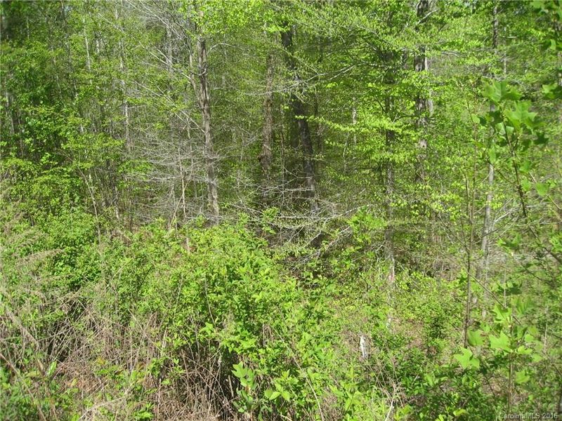 Lot 13 Short Cedar Trl #13, Alexis, NC 28006