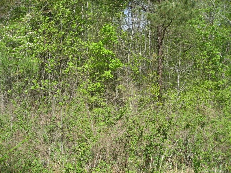 Lot 13 Short Cedar Trl #13, Alexis, NC 28006