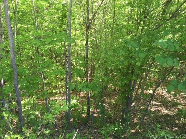 Lots 24-25 Long Cedar Ln #24-25, Alexis, NC 28006