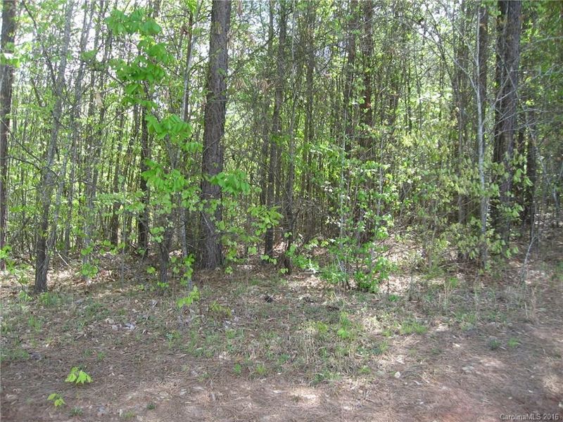 Lot 26 Long Cedar Ln #26, Alexis, NC 28006