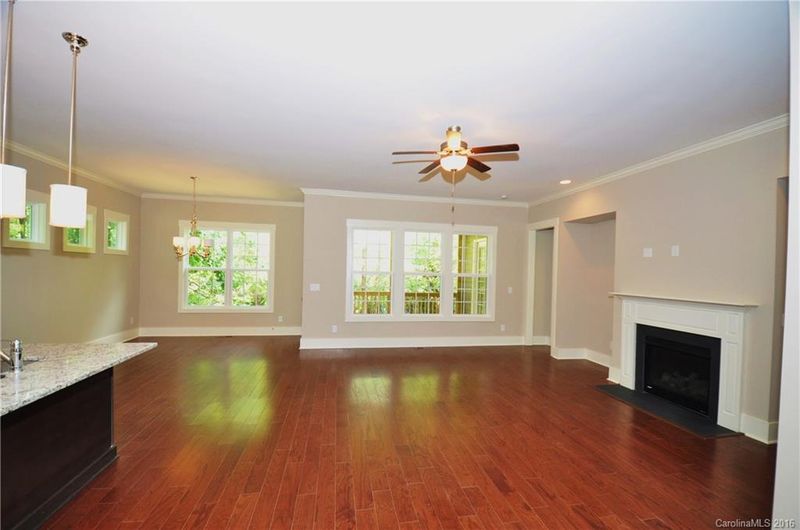 206 Armour St, Davidson, NC 28036