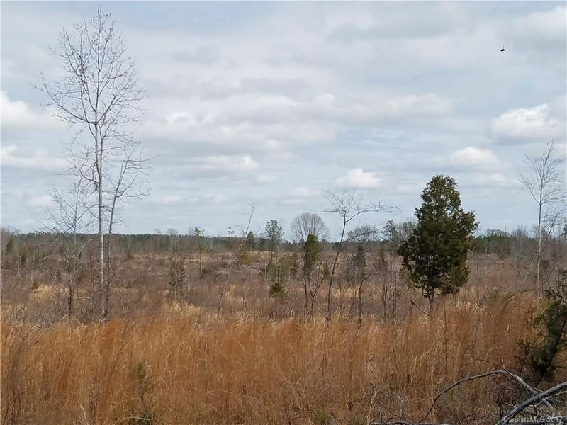 0 Wellridge Rd, Chester, SC 29706