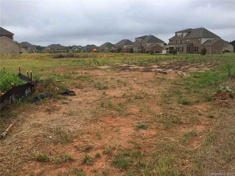 210 Walkers Bluff Ct #44, Marvin, NC 28173