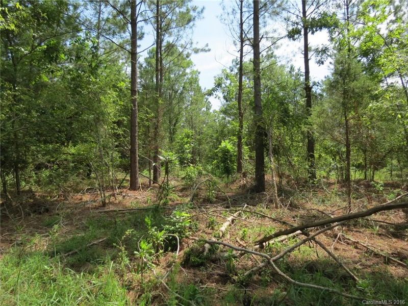 20 AC Peden Bridge Rd, Chester, SC 29706