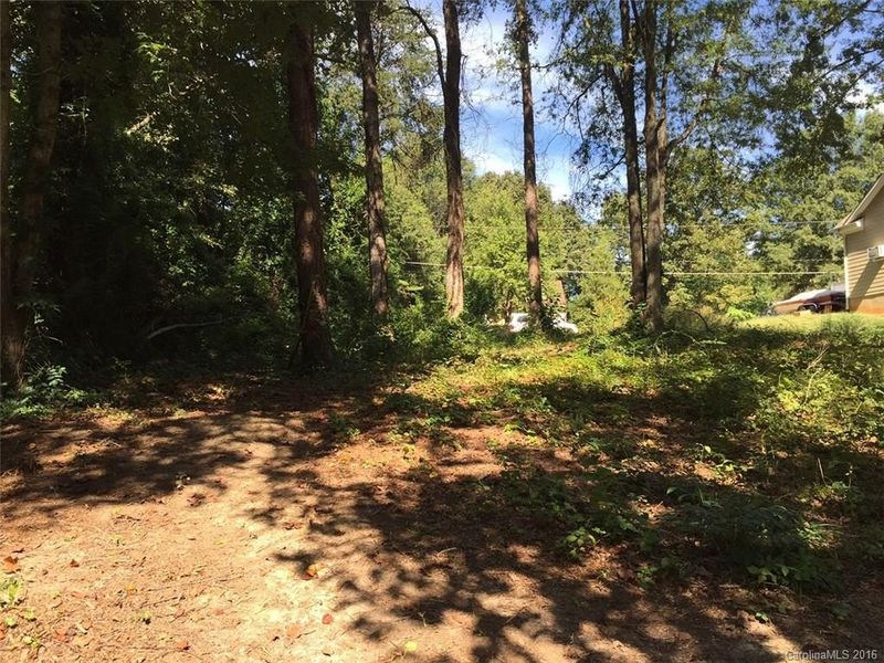 21614 Rio Oro Dr, Cornelius, NC 28031