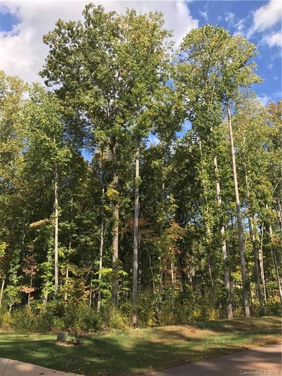 551 May Green Dr #106, Clover, SC 29710