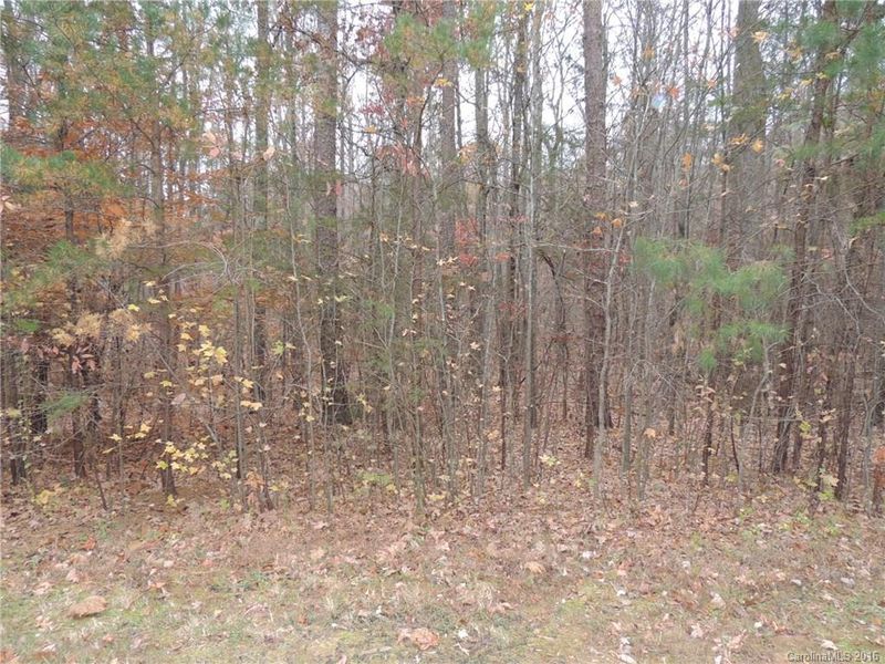 6231 Twining Vine Ct, Kannapolis, NC 28081