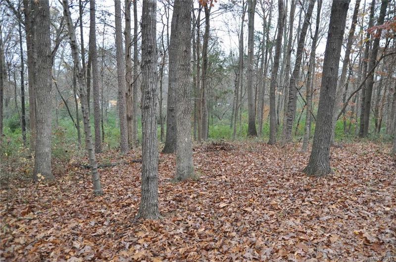 2919 Belk Mill Rd, Wingate, NC 28174