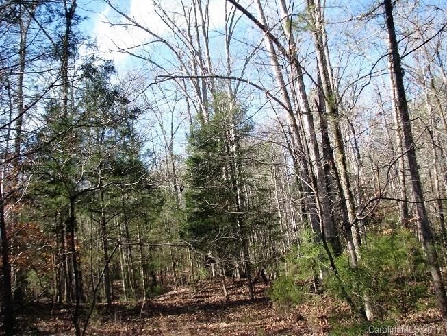 38 Ac Hwy 9 Hw, Chester, SC 29705