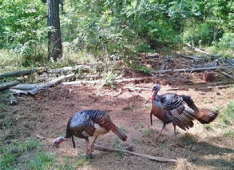 1280 Parsons Rd, Mcconnells, SC 29726