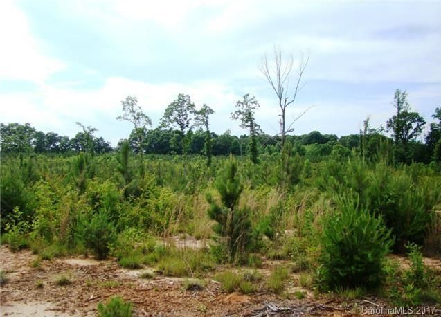 Approx 16 Keever Dairy Farm Rd, Iron Station, NC 28080