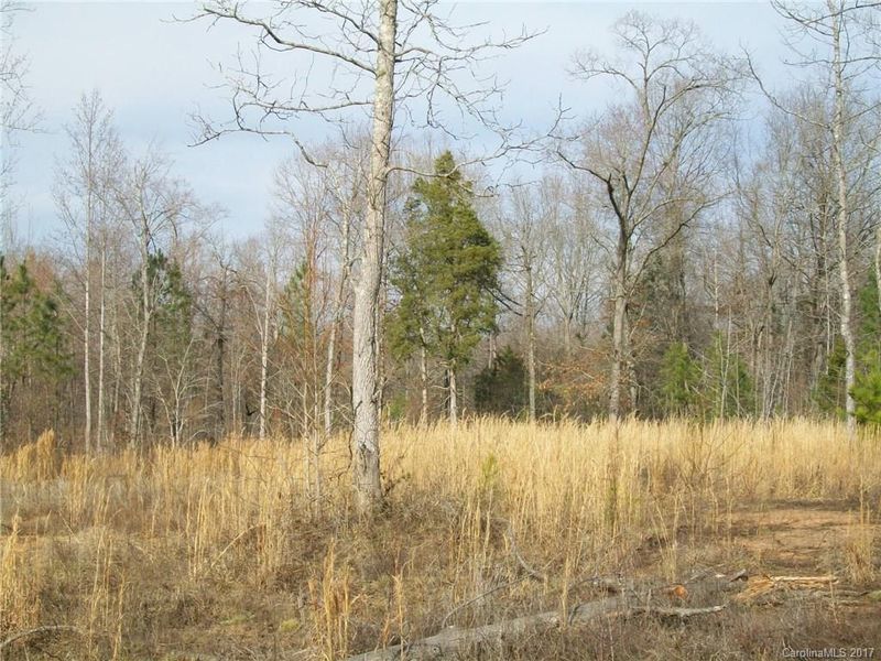 3856 Wilson Chapel Rd, Sharon, SC 29742