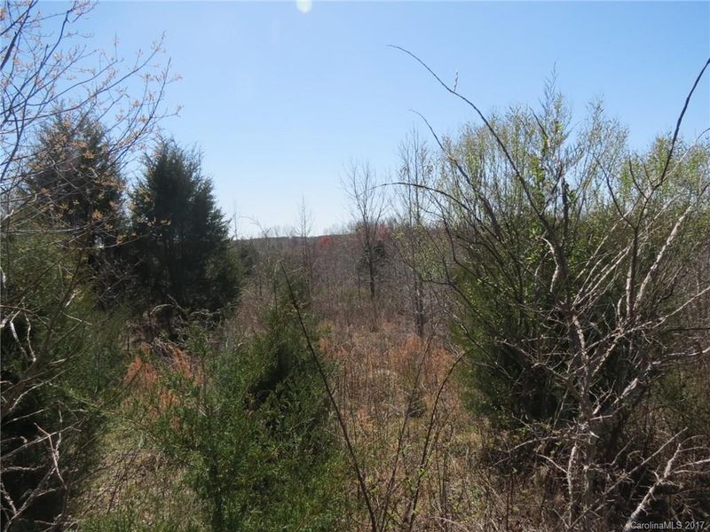 4 AC Old Mill Rd, Richburg, SC 29729