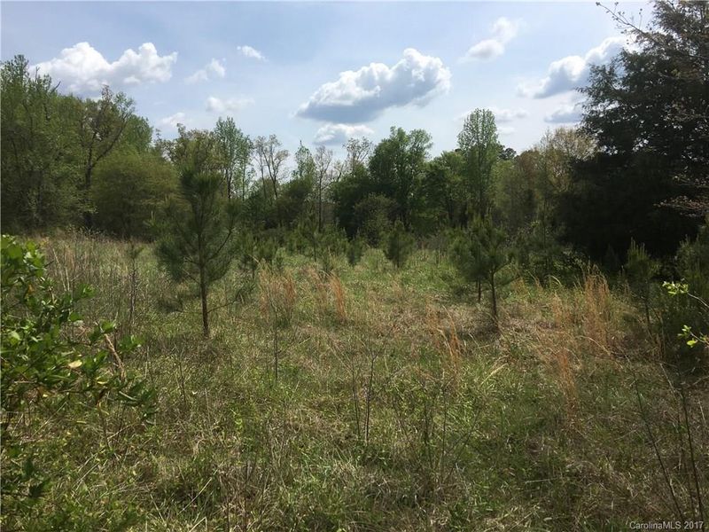 4041 Red Fox Rd, Lancaster, SC 29720
