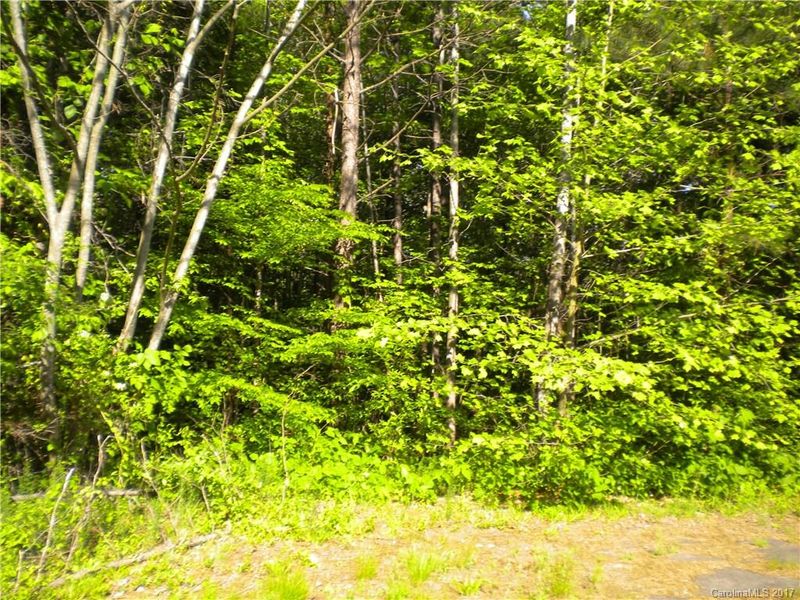 1 Duffy Powell Ln #1, North Brook, NC 28168
