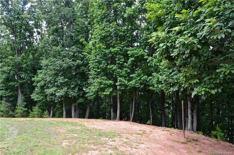 12541 Marsh Wren Ct, Charlotte, NC 28278