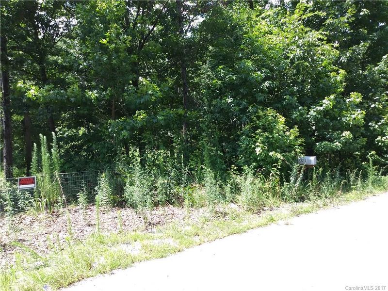 0 Ginger Ln #11, Maiden, NC 28650