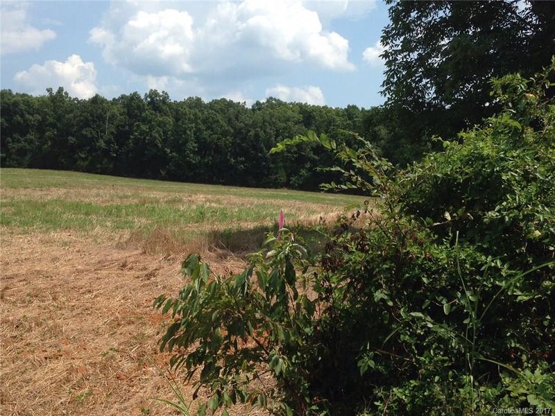 11689 Sam Black Rd, Midland, NC 28107