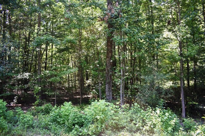 Lot 5 Fairforest Dr, Matthews, NC 28104