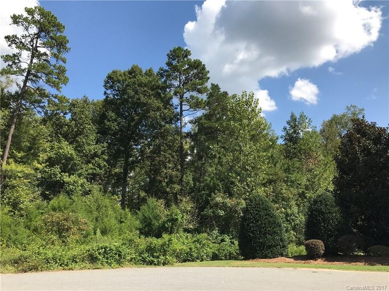 15340 June Washam Rd, Davidson, NC 28036