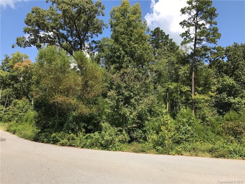 15340 June Washam Rd, Davidson, NC 28036