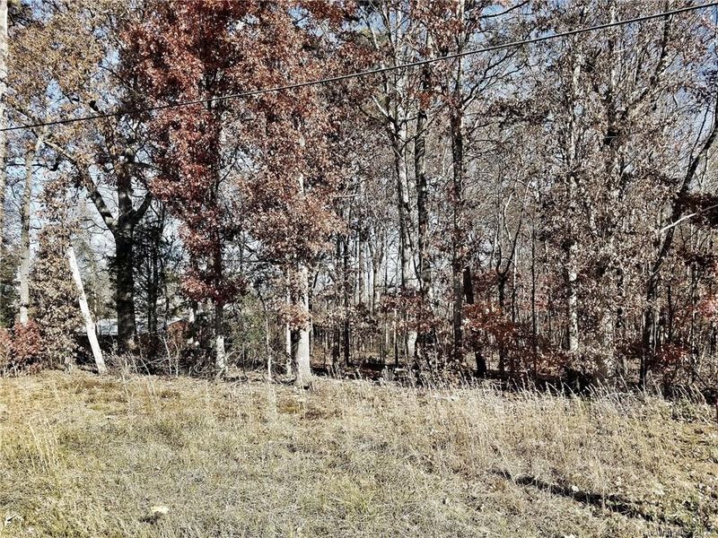 000 Cat Square Rd, Vale, NC 28168