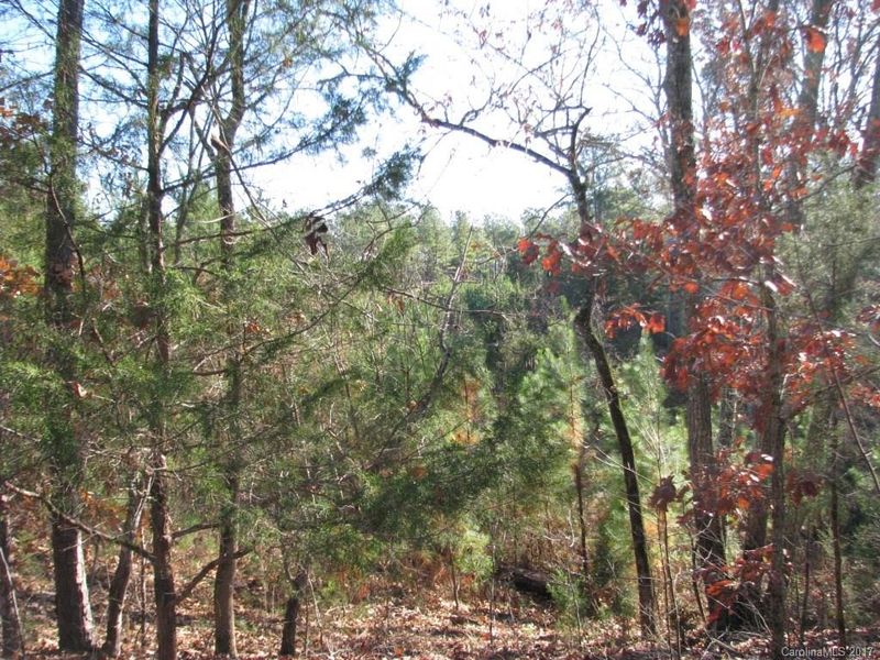 113 Ac Goings Rd, Chester, SC 29706