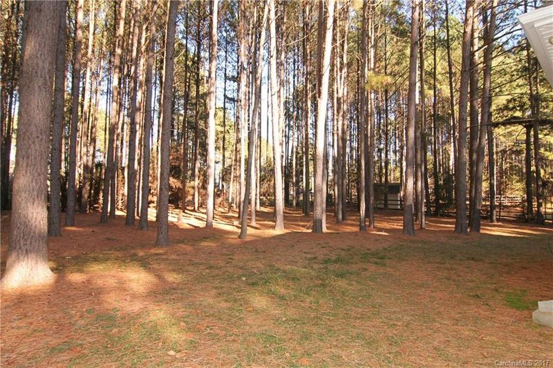 2794 Alish Trl, Mount Pleasant, NC 28124