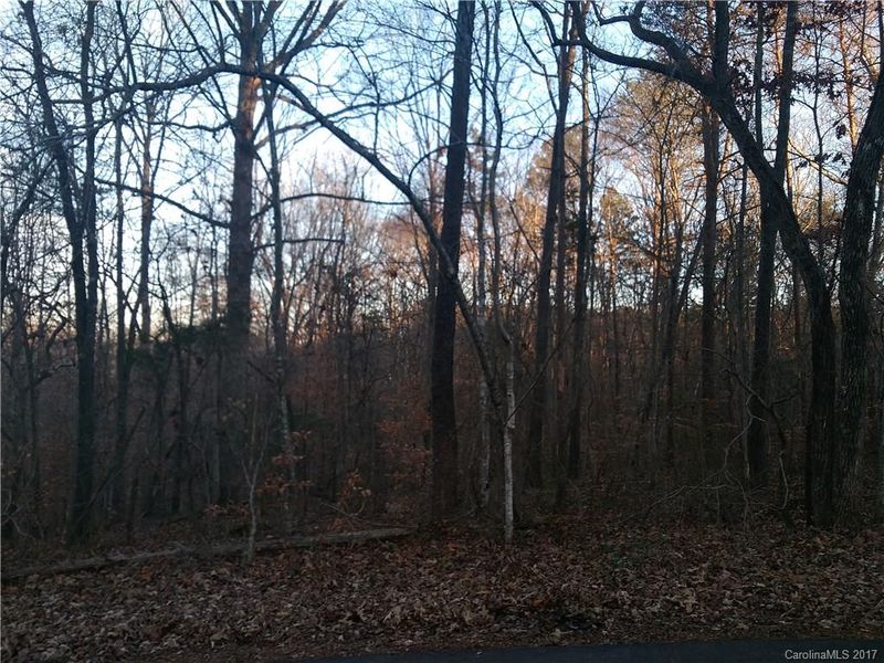 0 Spring Lake Dr, Iron Station, NC 28080