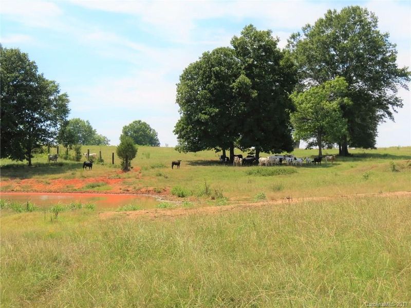 25 AC Percival Rd, Rock Hill, SC 29730