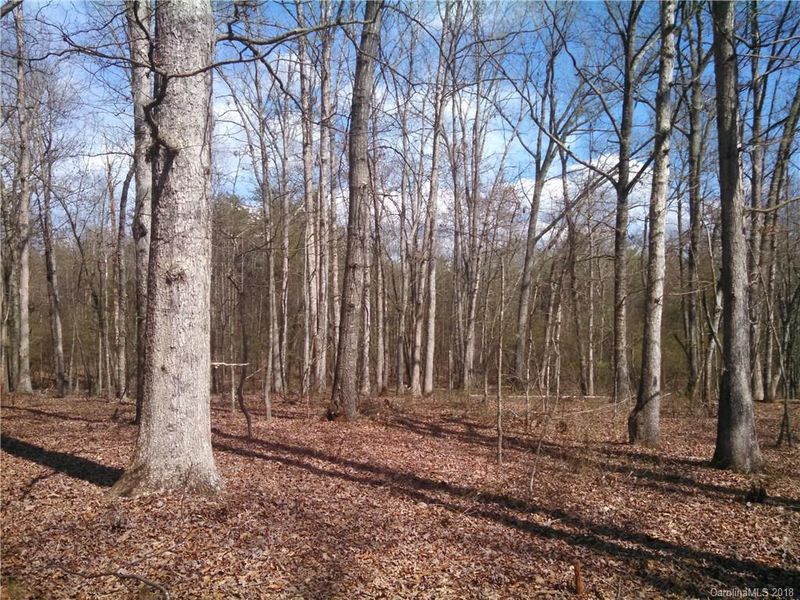 0001 George Brown Rd, Crouse, NC 28033