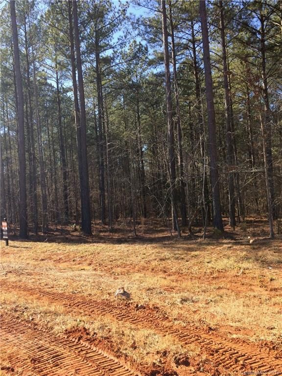 6223 Chimney Bluff Rd #19, Lancaster, SC 29720