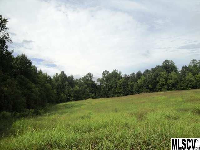 00 Williamsburg Dr, Olin, NC 28660