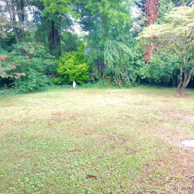 514 S Main Ave, Newton, NC 28658