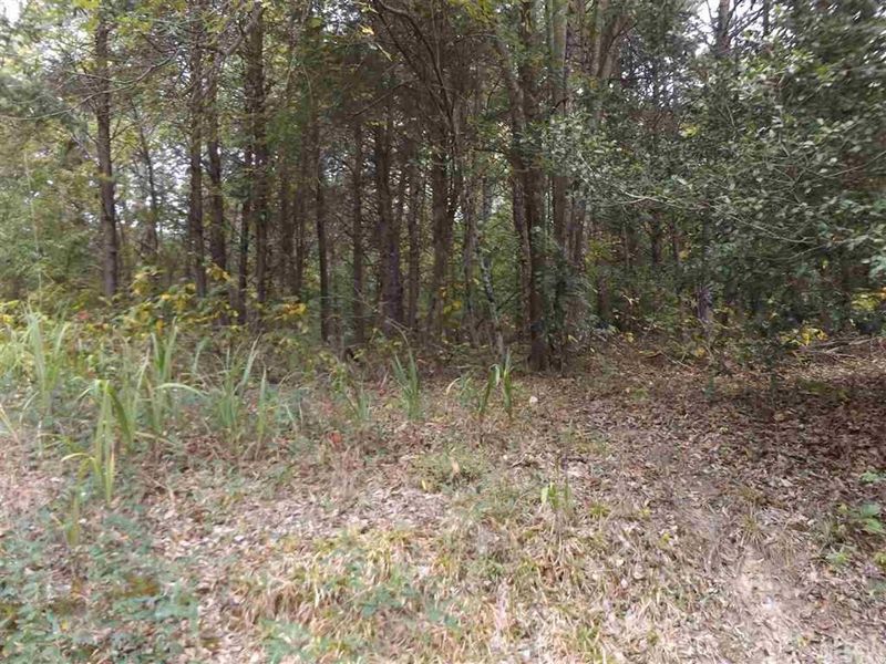 Plat 2116 Charlotte St, Conover, NC 28613