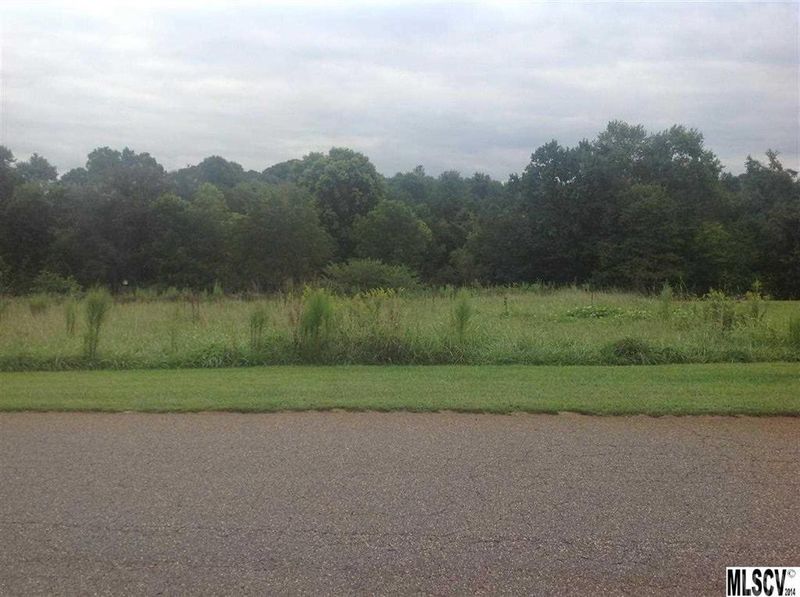 0 Carriage Ct #19, Lincolnton, NC 28092