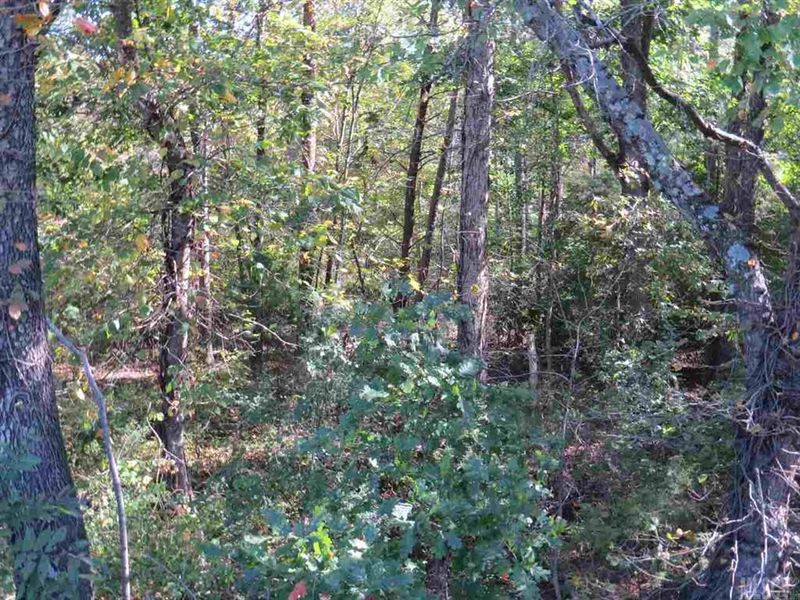 0 Antietam Rd, Scotts, NC 28699