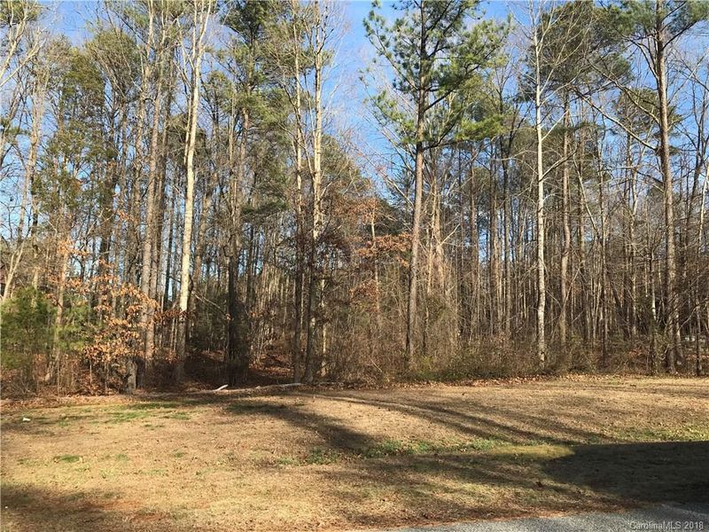 4604 Sawgrass Ct, Denver, NC 28037