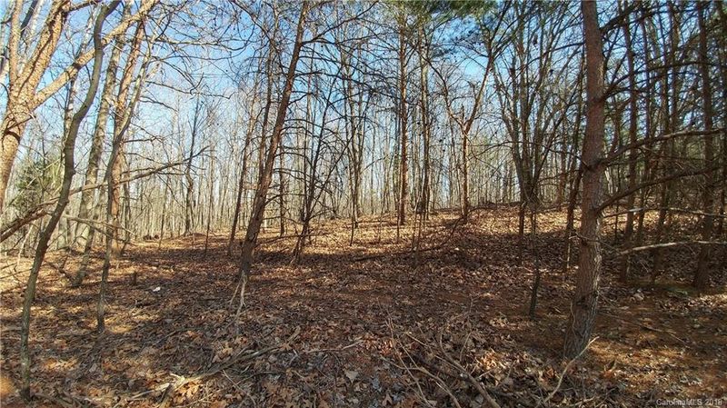 0 Rhoney School Rd, Hickory, NC 28602