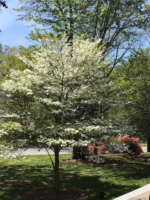 7017 Forest Manor Dr, Denver, NC 28037
