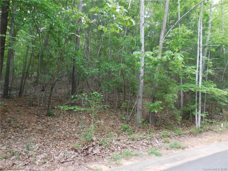 3022 Dodsworth Dr, Cramerton, NC 28032