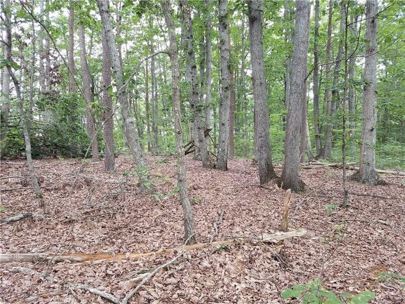 0 Ed Craig Rd, Vale, NC 28168