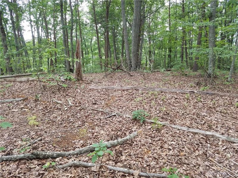 0 Ed Craig Rd, Vale, NC 28168